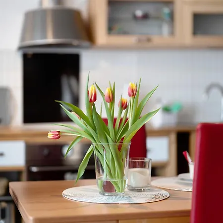 Alexander Feiss Schonach im Schwarzwald