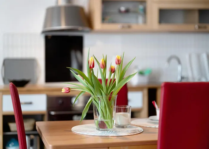 Alexander Feiss Schonach im Schwarzwald